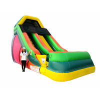 Inflatable Depot Commcercial Grade 18' Single Lane Slide