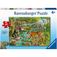 Ravensburger Animals of India 60pc Puzzle RB05163