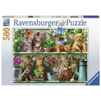 Ravensburger Cats on the Shelf 500pc Puzzle RB14824