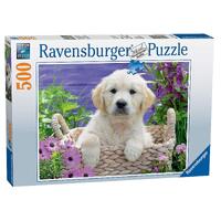 Ravensburger Sweet Golden Retriever 500pc Jigsaw Puzzle RB14829