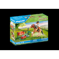 Playmobil Country Collectable Connemara Pony 70516