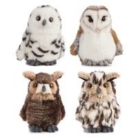 Living Nature Owls Assorted 13cm One Supplied AN406
