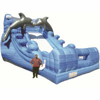 Giant Dolphin Splash Commercial Grade Inflatable Water Slide