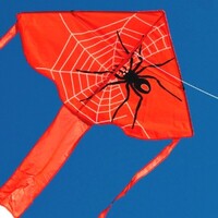 Windspeed Spider Delta Single String Kite