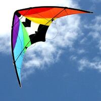 Windspeed Dual Control Stunt Master Kite