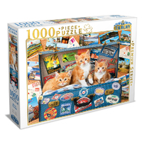 Tilbury Kitten Travels 1000pc Puzzle 19573