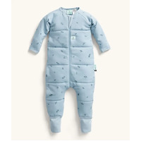ergoPouch Sleep All in One Suit 2.5 TOG - Dragonflies