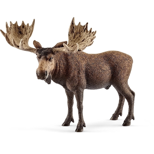 Schleich Moose Bull Toy Figure SC14781