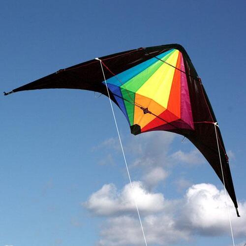 Windspeed Black Widow Dual Control Stunt Kite 1.5m span
